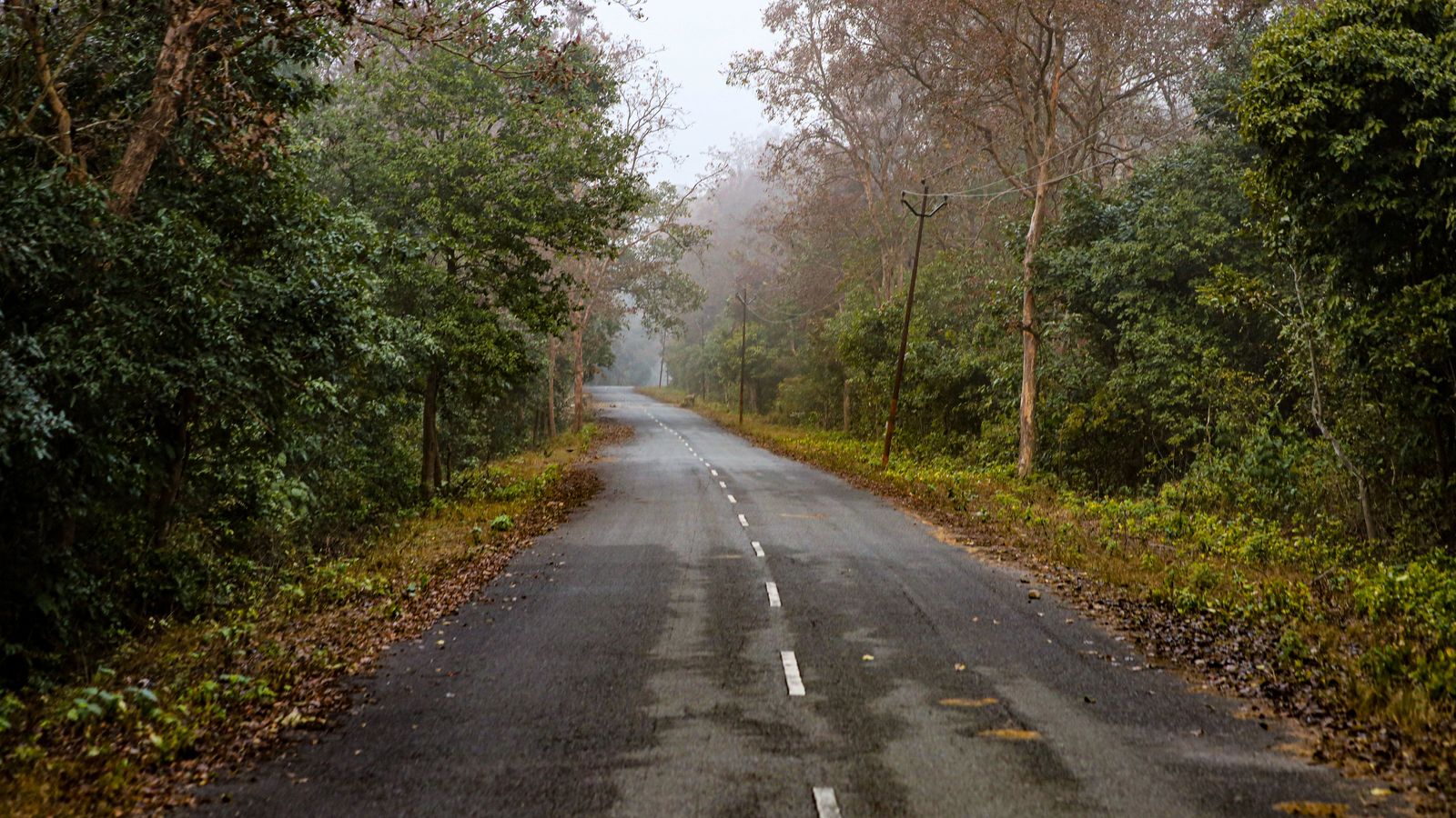 Bandipur by road