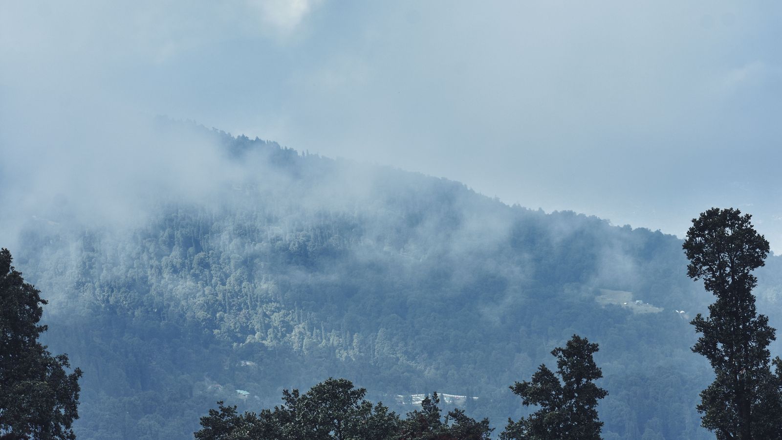 Chail by road