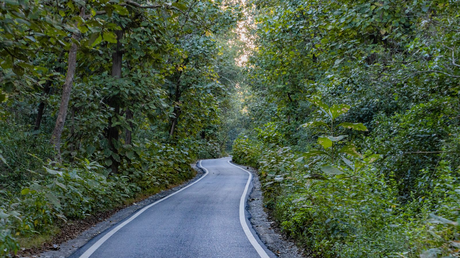 Jim Corbett by road