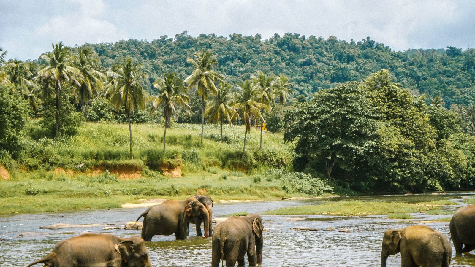 Kabini by road