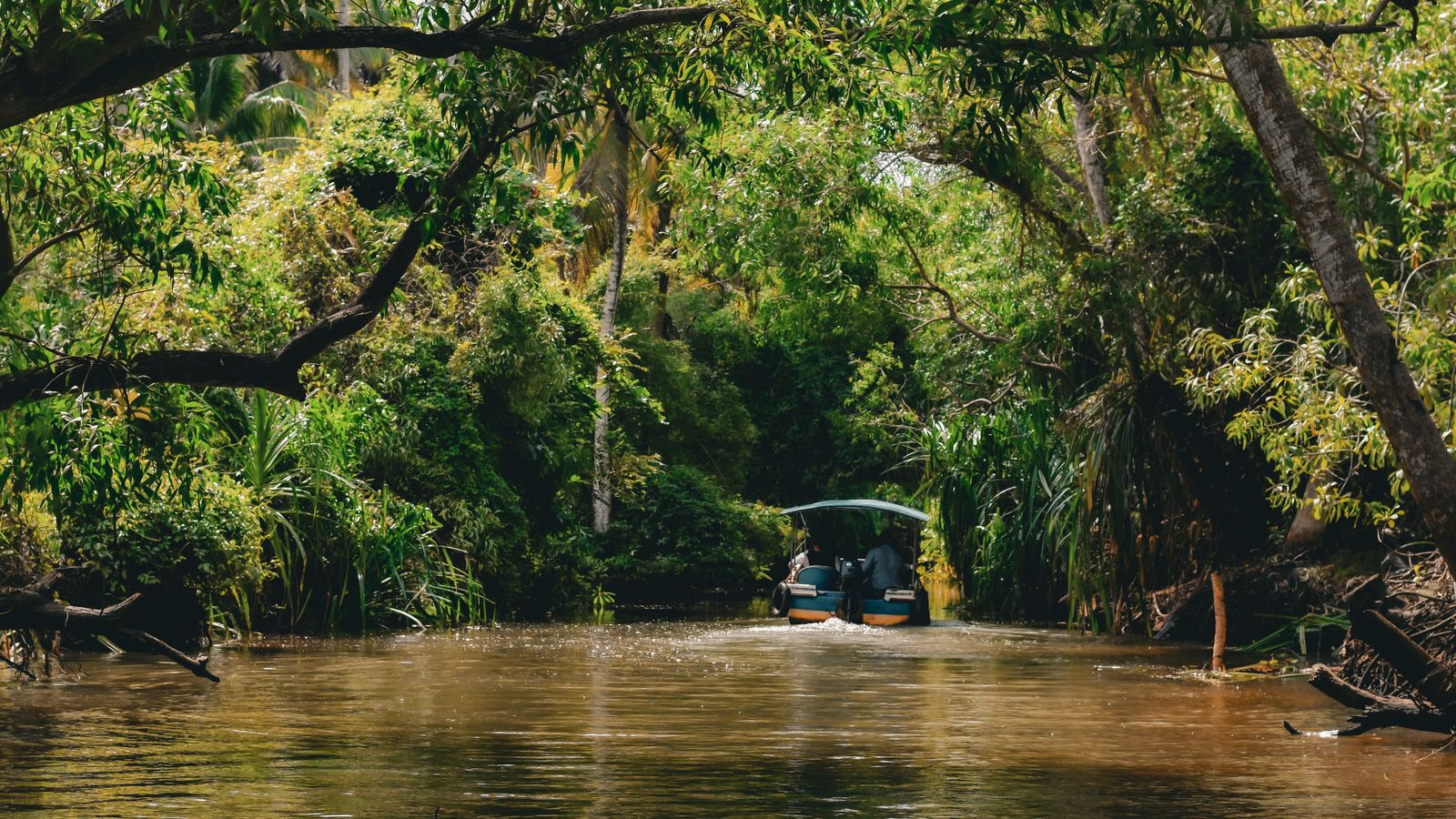 Kumarakom by road