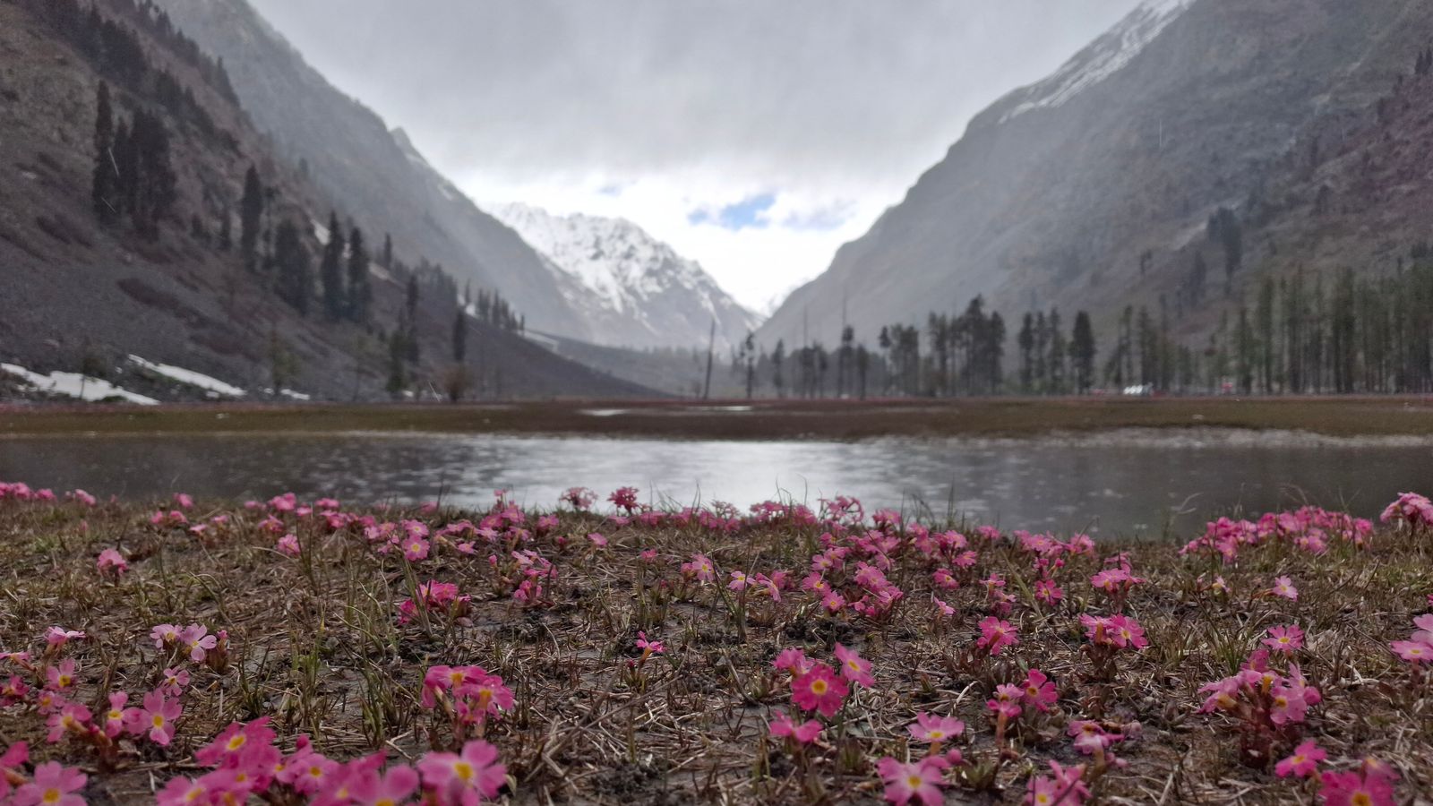 Lachung by road