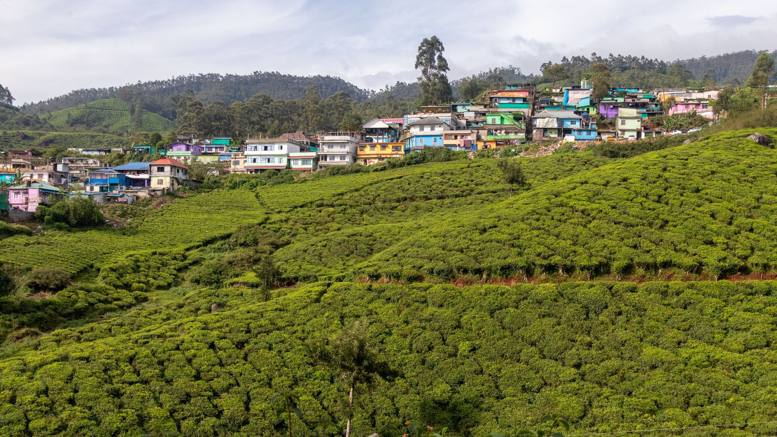 Munnar by road