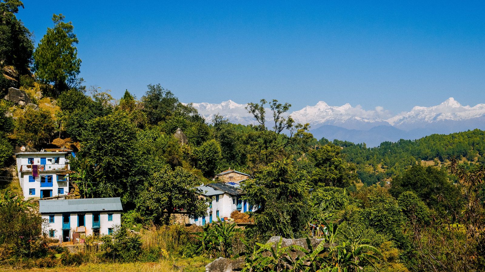 Ranikhet by road