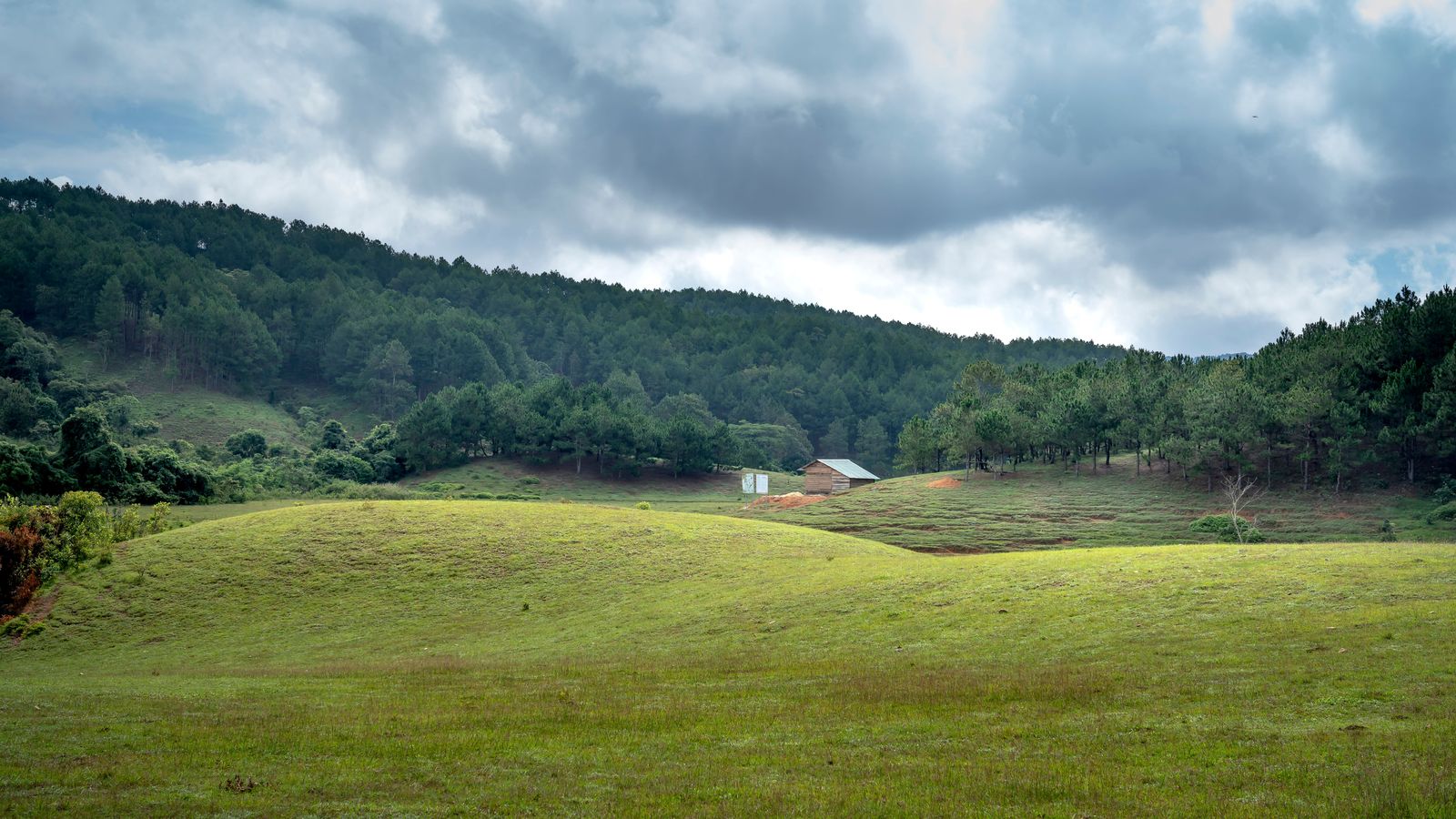 Sakleshpur by road
