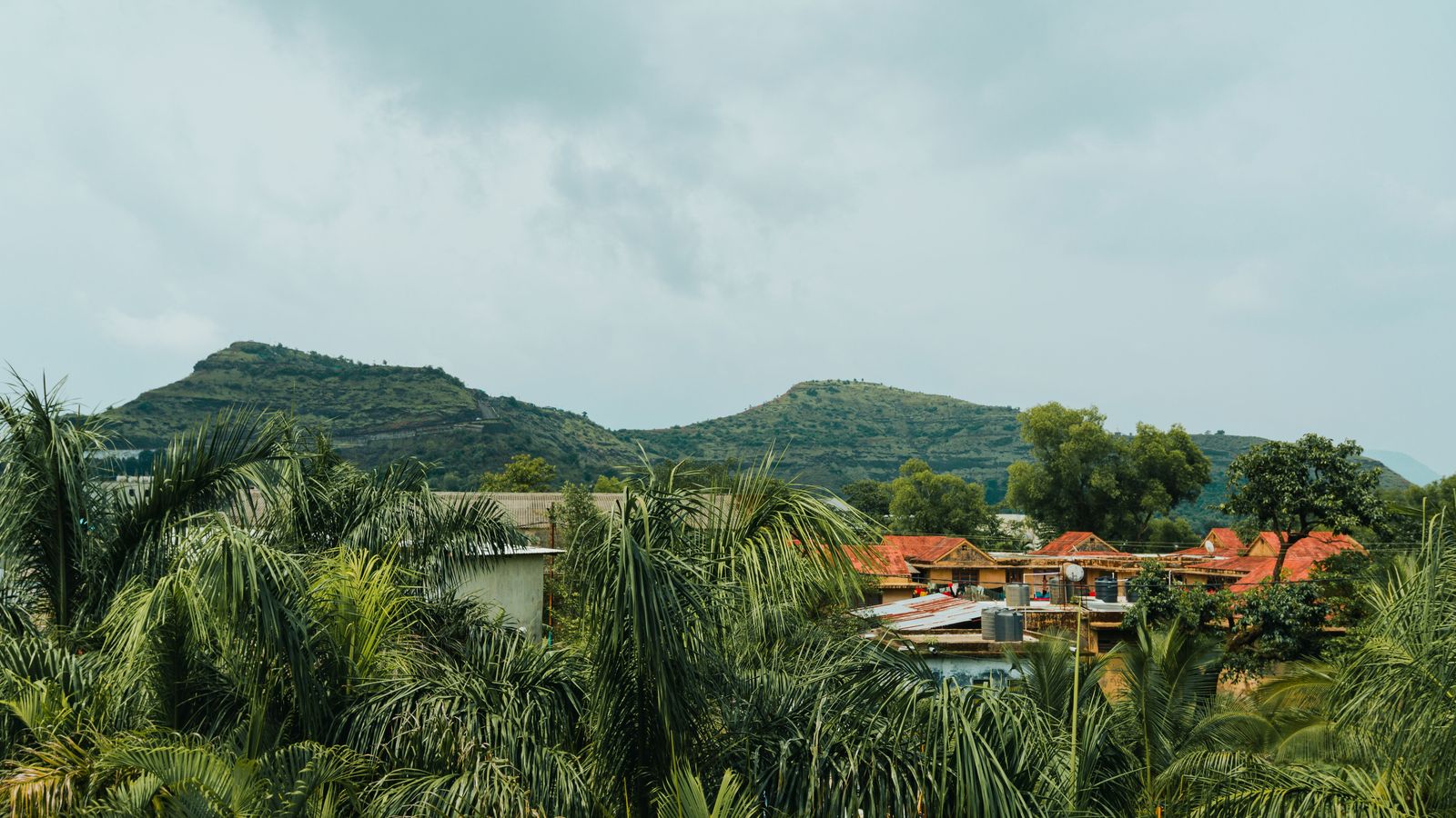 Saputara by road
