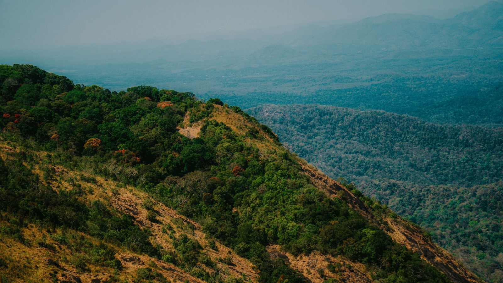 Wayanad by road