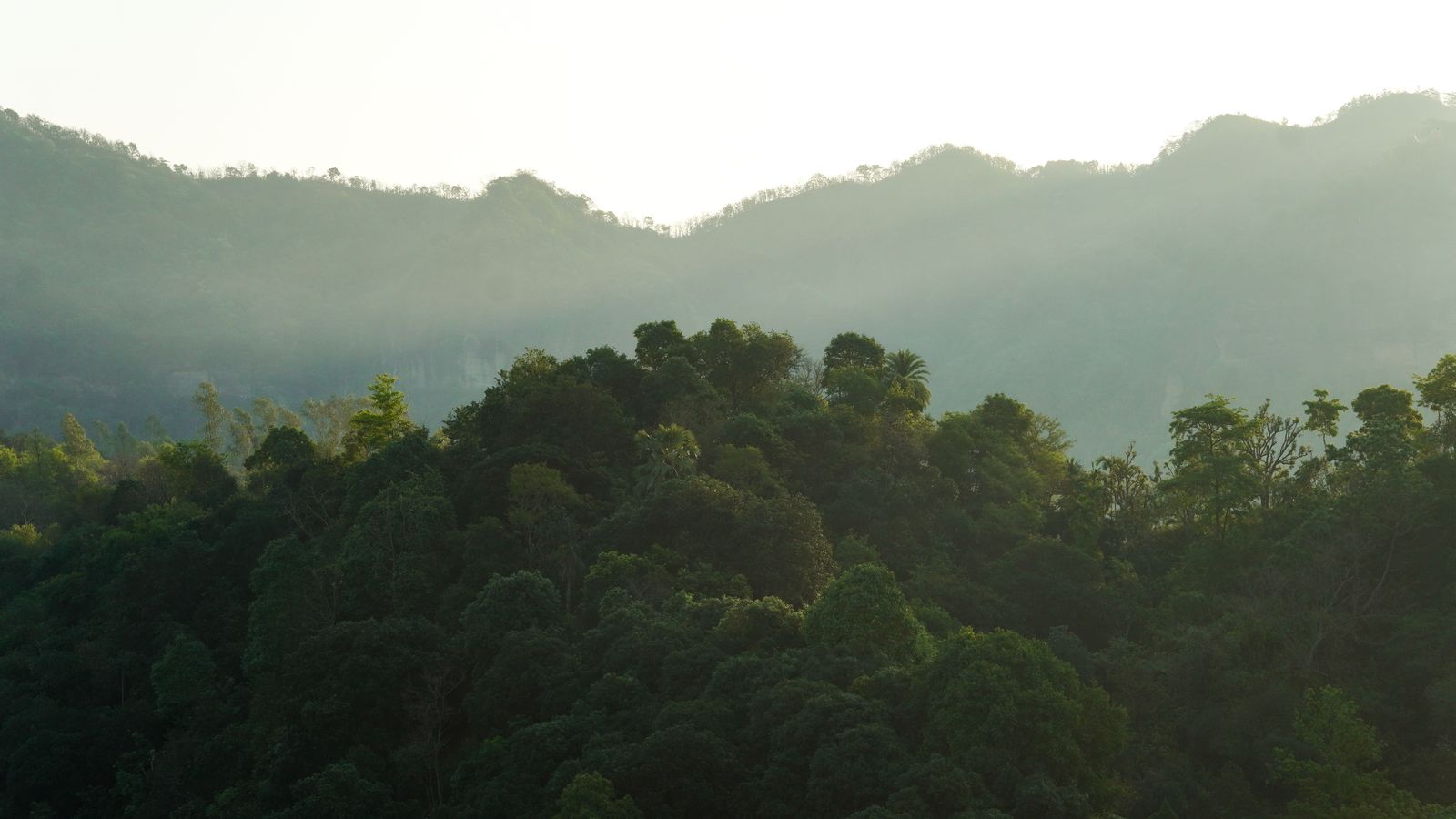 Yercaud by road